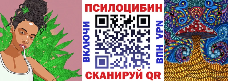 блэк спрут маркетплейс  Каменск-Уральский  Псилоцибиновые грибы GOLDEN TEACHER  цена  
