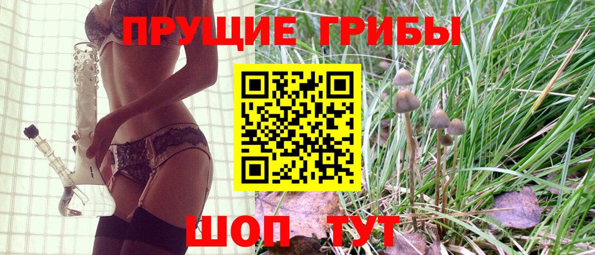 Псилоцибиновые грибы MAGIC MUSHROOMS Каменск-Уральский