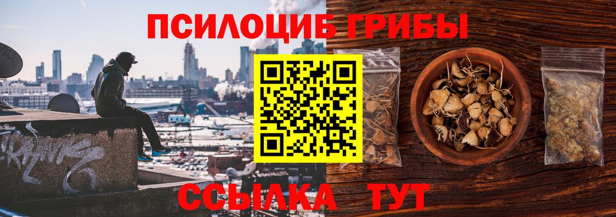 Галлюциногенные грибы Cubensis  Вход с VPN  Псилоцибиновые грибы Psilocybe  Каменск-Уральский 